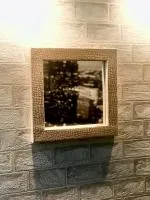 зеркало 30*40, горячего тиснения питон, пэм